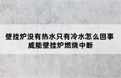 壁挂炉没有热水只有冷水怎么回事 威能壁挂炉燃烧中断